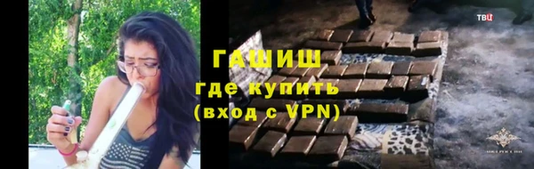 индика Вязники