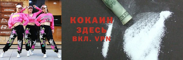 индика Вязники