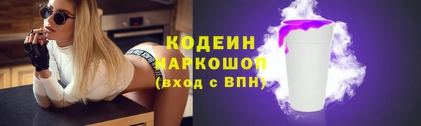 индика Вязники