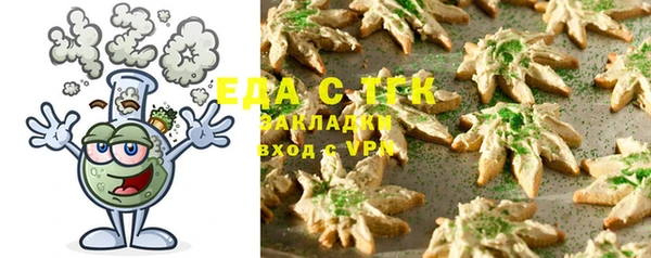 индика Вязники