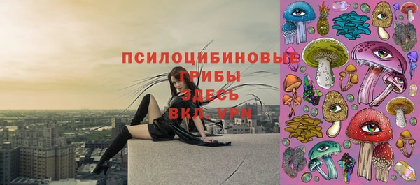 a pvp Вязьма
