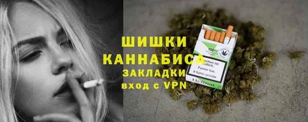 индика Вязники