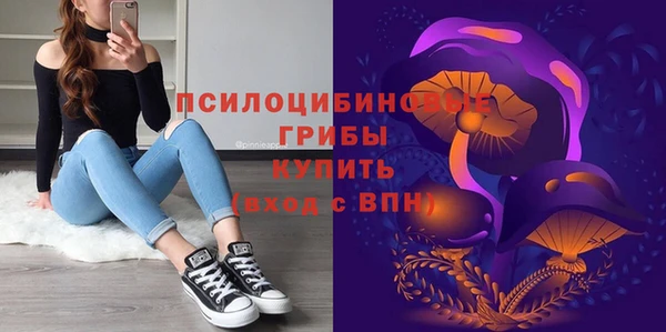 индика Вязники