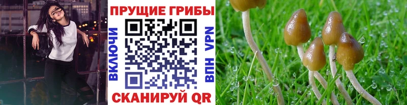 Псилоцибиновые грибы мухоморы  KRAKEN рабочий сайт  Батайск 